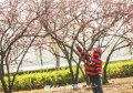 ůůĴL(fng)ӭ洵_գuD(zhun)ůǃ(ni)ʢ_˲ǰ^p󱊾W(wng)ӛ wP zӰ