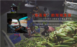 1_.jpg